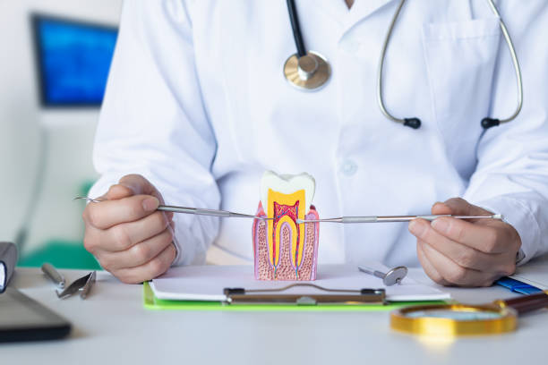 Best Cracked Tooth Emergency Dentist  in Warrenton, MO